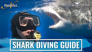 Great White Shark Diving Guide Martyn  at Guadalupe Island [upl. by Metah]