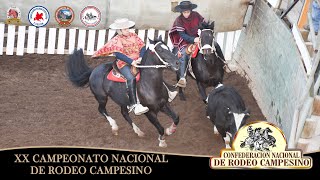 SERIES PROMOCIONALES 20° CAMPEONATO NACIONAL DE RODEO CAMPESINO 2024 [upl. by Eussoj]