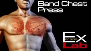 Band Chest Press  Chest Exercises [upl. by Asiuqram]