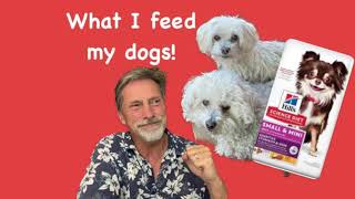 What Do I Feed My Dogs Science Diet Wellness Orijen [upl. by Ahsan511]