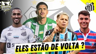 JOGADORES QUE RETORNARÃO AO SANTOS  E O TÉCNICO CADE   ÚLTIMAS NOVIDADES DO SANTOS [upl. by Janyte]