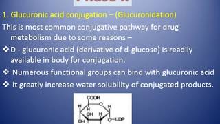 BiotransformationDrug metabolism PhaseI amp PhaseII reactions [upl. by Ad403]