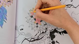 Coloring flowers of positively Zen by Alligator products [upl. by Almira936]