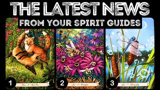 The Latest News From Your Spirit Guides 🔥🔥🔥⎮pick a card 🃏 tarot reading [upl. by Figge236]