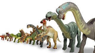 ENTIRE Herbivore Collection Big to Small  Brachiosaurus Apatosaurus Stegosaurus and More [upl. by Josh]