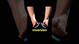 Inversion amp Eversion of foot  Lower limb Anatomy [upl. by Merriott413]