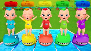 Baby Shark Finger Family Where Are You  JoJo Nursery Rhymes amp Kids Songs [upl. by Fletcher]