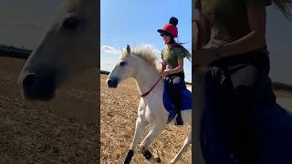 CANTERING WITHOUT A BRIDLE 😍💜 country horse love shorts horsemanship [upl. by Eblehs510]