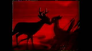 Bambi  forest fire  VHS bootleg [upl. by Aneram]