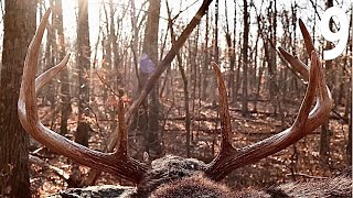 PA Public Land Mountain Buck Rifle Season Bowhunting PA EP9 [upl. by Ryan]