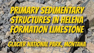 Primary Sedimentary Structures in Helena Formation Limestone [upl. by Ilahtan]