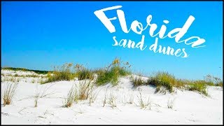 Florida Sand Dunes  Biggest Ive ever seen in my life [upl. by Backer]