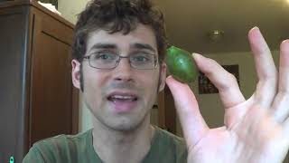 Guinep Spanish Lime or Mamoncillo Review and How to Roast its seeds Weird Fruit Explorer Ep 34 [upl. by Morganica]