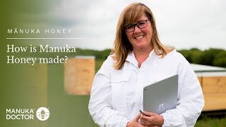 Manuka Honey How is Manuka Honey Made [upl. by Bettencourt]