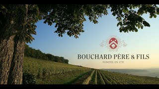 Bouchard Père amp Fils au cœur de Beaune épisode 1 [upl. by Admama]