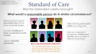 Tort of Negligence Standard of Care [upl. by Dilan]