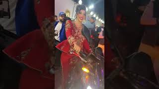 mariagealgerien اعراسجزائرية wedding mariagemarocain [upl. by Aneleiram]