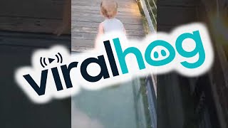 Toddler Attempts to Cross onto Glass Bridge  ViralHog [upl. by Terence]