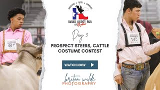 Harris County Fair and Rodeo 2024  Prospect Steers Showmanship Cattle Costume Contest [upl. by Coplin]