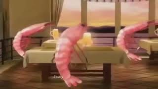 Shrimps Dancing with Beer [upl. by Asli]