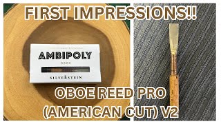 Trying the Ambipoly Oboe Reed V2 American Cut  REVIEW [upl. by Oinegue]