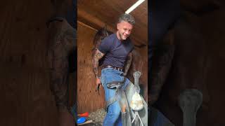 Reggie is one of a kind 😂🐴 horse funny shorts equestrian asmr [upl. by Yortal]