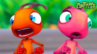 Need for Speed  1 Hour Antiks Full Episodes  Funny Insect Cartoons for Kids [upl. by Wood908]