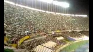 Algerie guinée stade 5 juillet hymne nationale drapeau [upl. by Layor914]