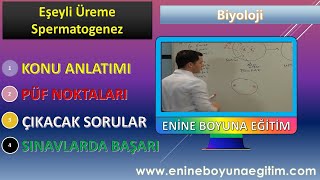 Biyoloji Ders5 Biyoloji Eşeyli Üreme Konu ve Spermatogenez Konu Anlatımı ve Soru Çözümleri [upl. by Aronson]