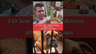 249 year Jail Adam Britton Raped over 40 dogs in the past [upl. by Renrag543]