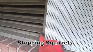 Keeping Squirrels Out of Gable Vent  Squirrel Control [upl. by Alyson549]