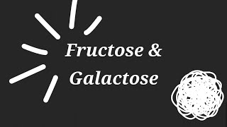 Fructose And Galactose Explained  Biochemstry  تحليلات مرحلة ثانية كيمياء حياتية  Lecture 3 [upl. by Llerdnam]