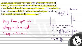 A fish rising vertically upward with a uniform velocity of \8 \mathrmms1\ observes tha [upl. by Bergmans]