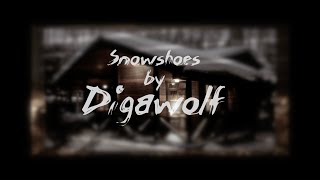 Snowshoes By Digawolf Official Music Video [upl. by Jervis]