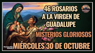 46 ROSARIOS A LA VIRGEN DE GUADALUPE MISTERIOS GLORIOSOS  GUADALUPANO  MIÉRCOLES 30 OCTUBRE 2024 [upl. by Adur]