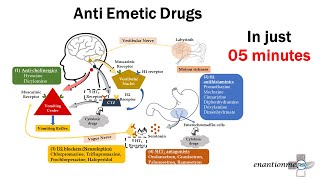 Pharmacology of Emesis Anti emetic Drugs Part  2 [upl. by Wojcik]