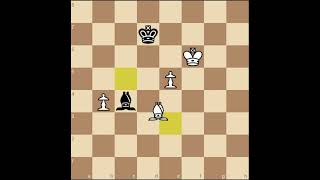 Endgame 47 Knight Pawn amp Central Pawn with opposite coloured bishops  100 Endgames You Must Know [upl. by Stickney]