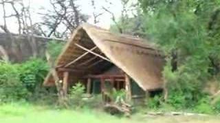 The Hide Camp Hwange [upl. by Huberman]