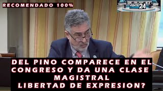 EL SR DEL PINO COMPARECE EN EL CONGRESO DE LOS DIPUTADOS LIBERTAD DE EXPRESIÓN LO RECOMIENDO 100 [upl. by Kcirdet680]