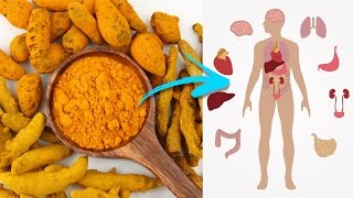 What is Turmeric Good For 10 Turmeric Health Benefits [upl. by Faus]