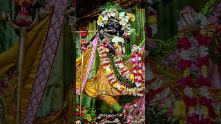 Hare Krishna shorts music song love newsong harekrishnasong hindugod shyam [upl. by Nebuer133]