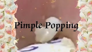 Pimple amp Blackheads Popping  30 [upl. by Lairea]