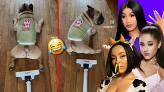 Celebrities react on Funny Videos  Cardi B Nicki Minaj Doja Cat amp more [upl. by Enineg]