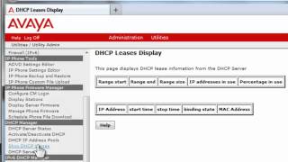 How to setup the Avaya Communication Manager Utility Server IPv4 DHCP Server [upl. by Bronez193]