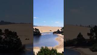 The Oregon Dunes travel oregondunes djidrone dji roadtrip shorts reels aerial [upl. by Suilenrac]