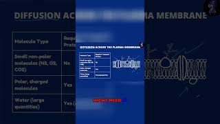 Unlocking Membrane Mysteries Diffusion and Transport Revealed [upl. by Trix565]