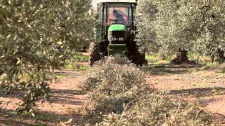 BIOMASA La poda de olivo como fuente de energía VALORIZA ENERGÍA OampM [upl. by Xylon]