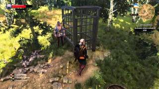 The Witcher 3 person in distress glitch [upl. by Aalst418]