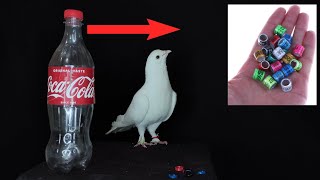 How To Make Pigeon Ring At Home [upl. by Neyrb]