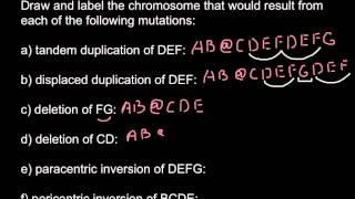 Types of chromosomal mutations [upl. by Gildus]